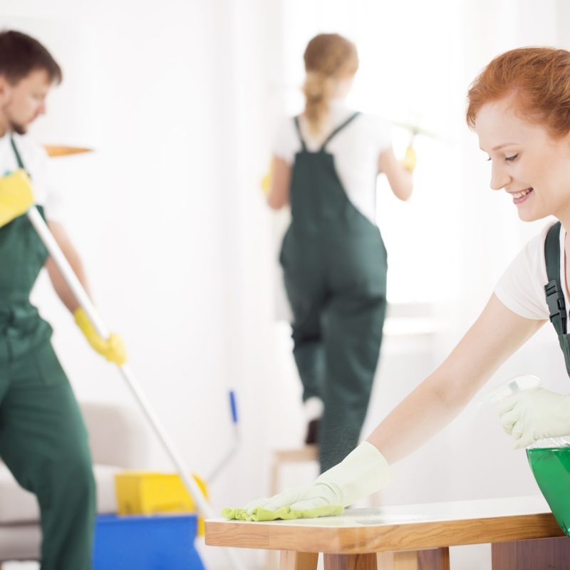 cleaning-service-during-work-1.jpg cleaning-service-during-work-1.jpg